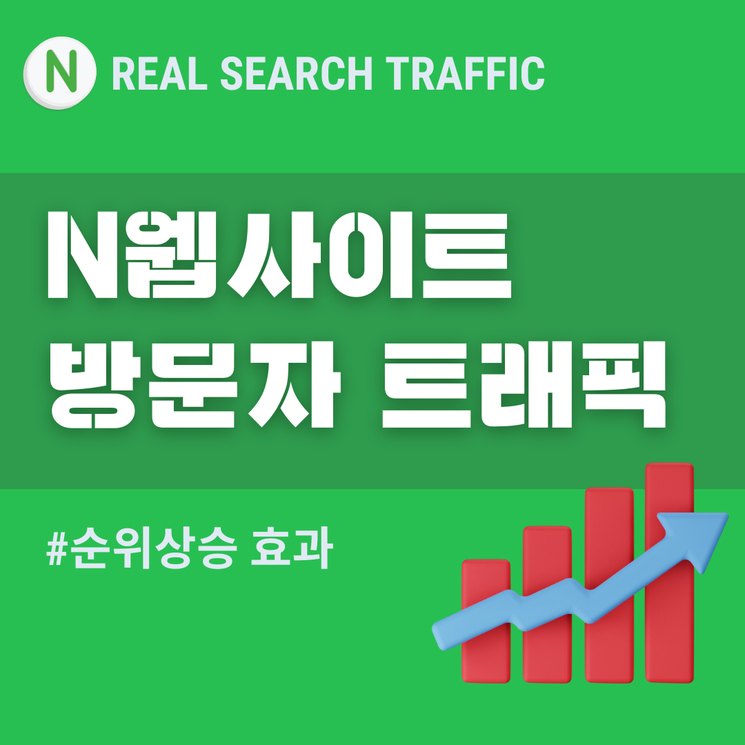 N웹사이트 방문자 트래픽